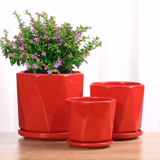 Высокоскоростной керамический анилоксовый валик с четырьмя цветами PE/PP/OPP/Non